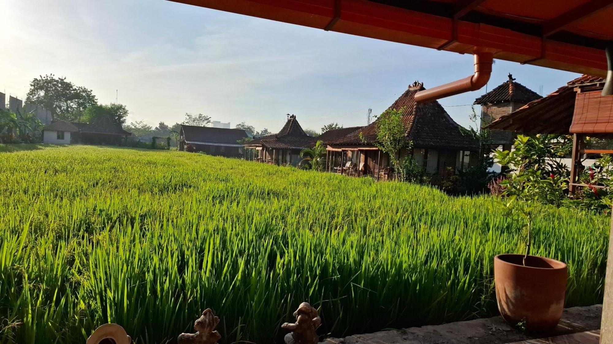 Alamanda Family Villas, Pool & Local Tours Yogyakarta Kültér fotó