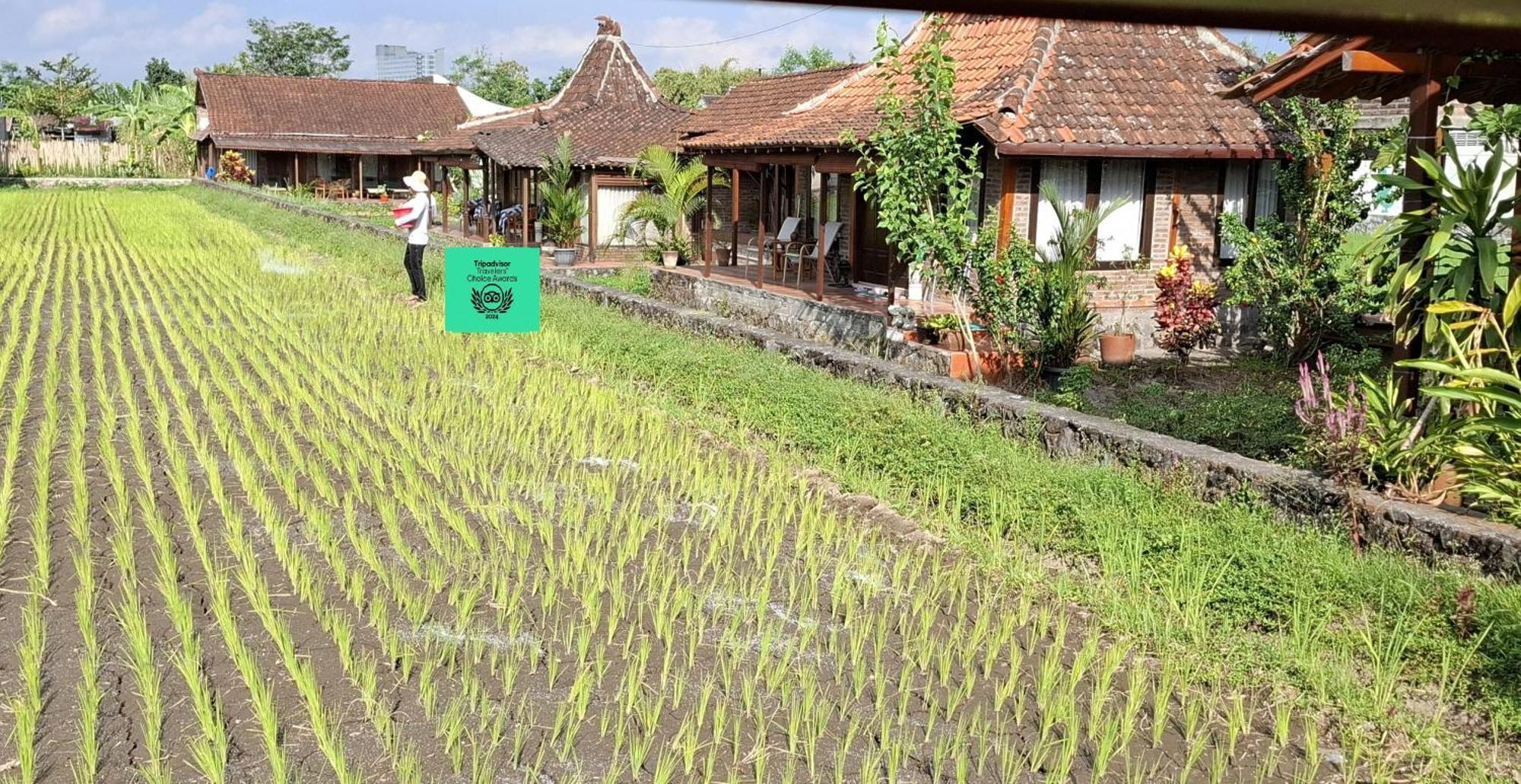 Alamanda Family Villas, Pool & Local Tours Yogyakarta Kültér fotó