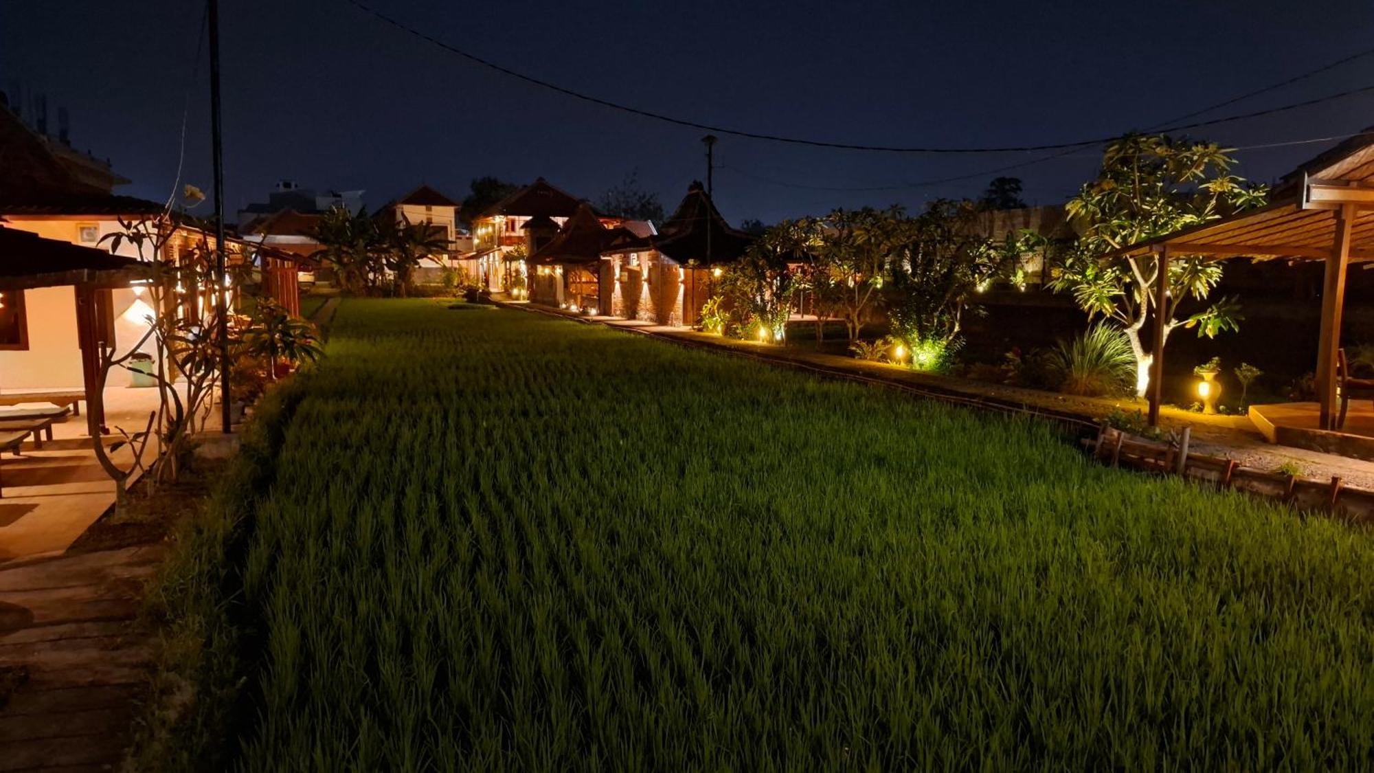 Alamanda Family Villas, Pool & Local Tours Yogyakarta Kültér fotó