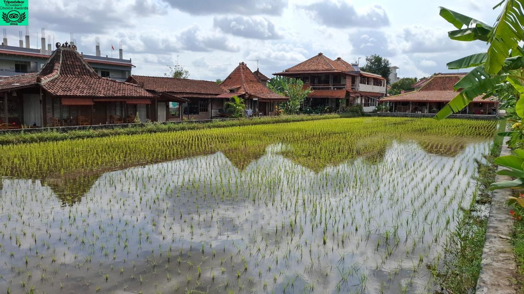 Alamanda Family Villas, Pool & Local Tours Yogyakarta Kültér fotó