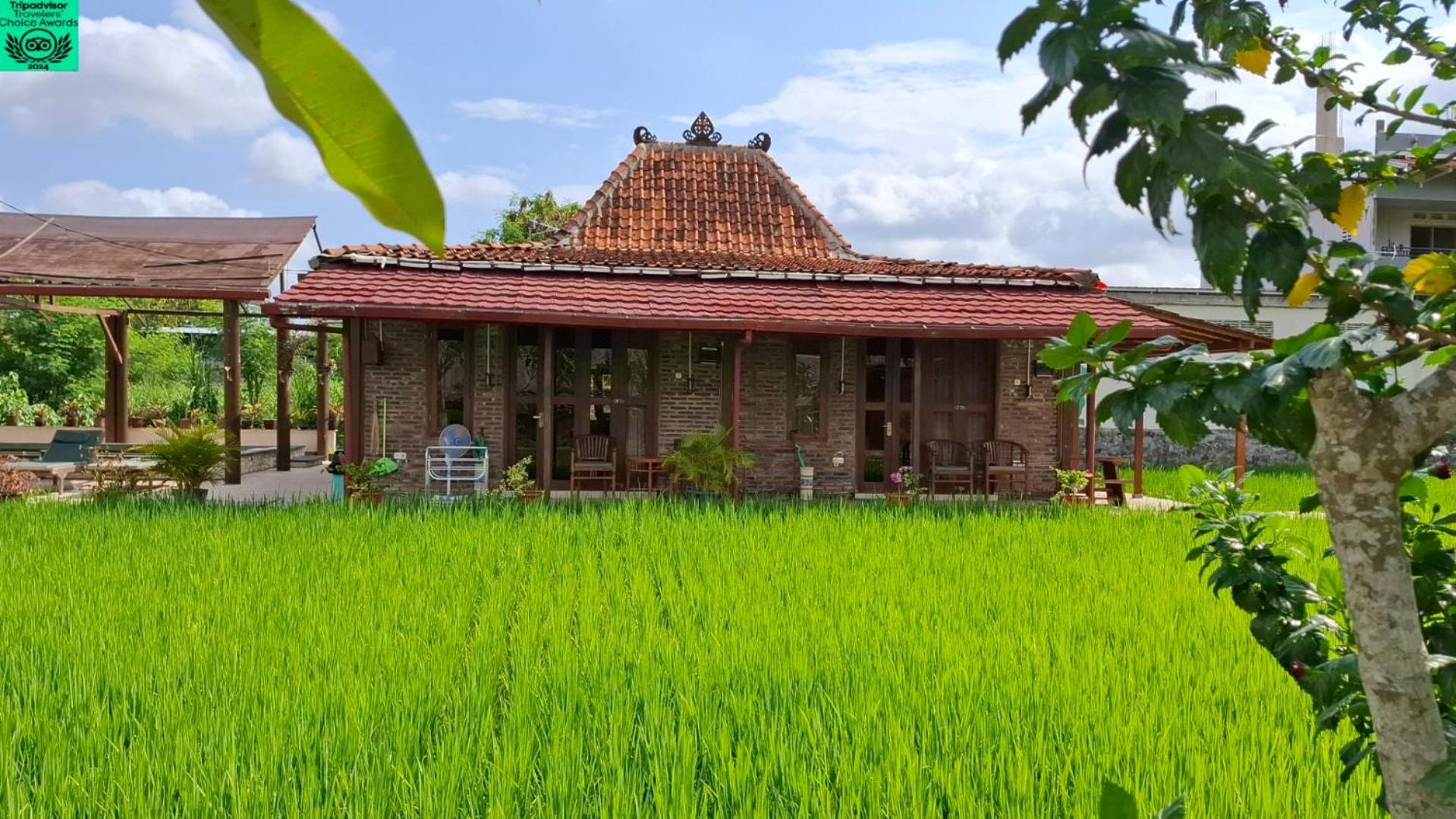 Alamanda Family Villas, Pool & Local Tours Yogyakarta Kültér fotó