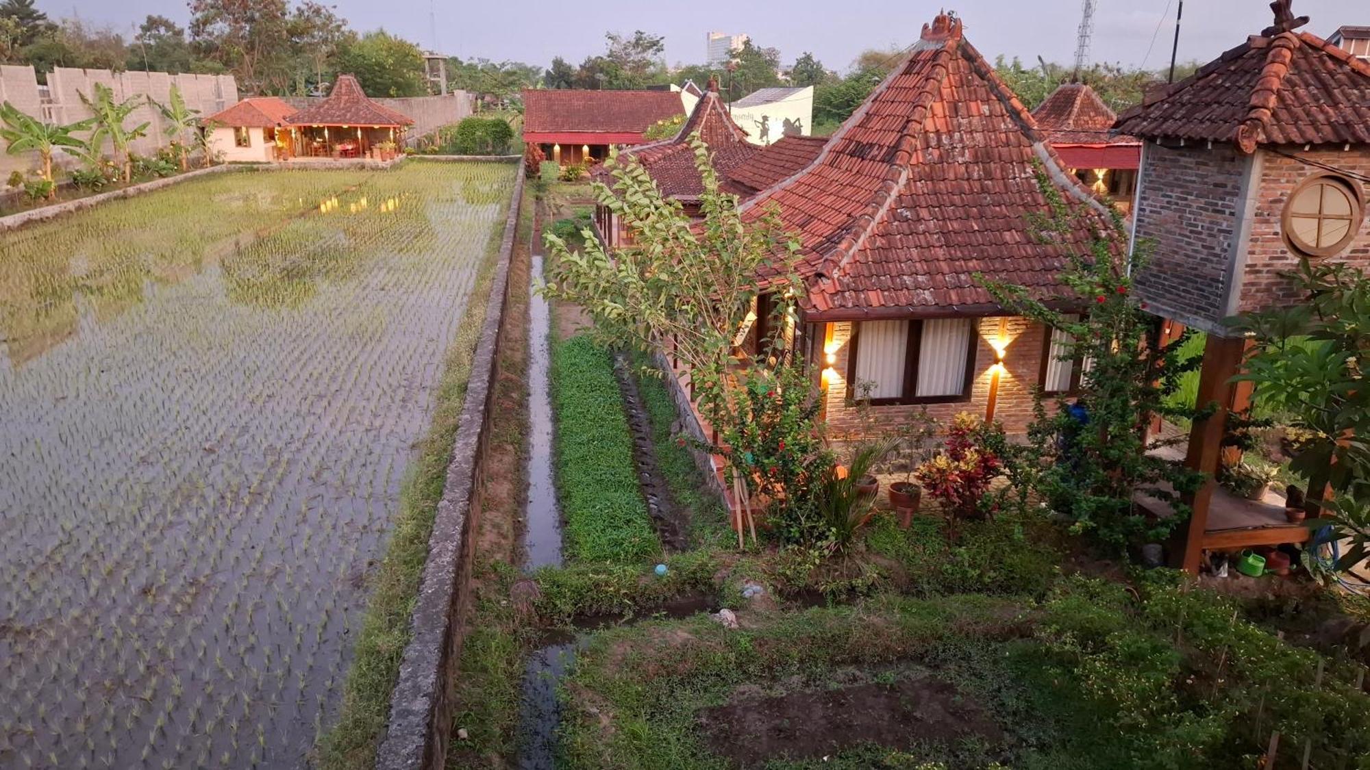 Alamanda Family Villas, Pool & Local Tours Yogyakarta Kültér fotó