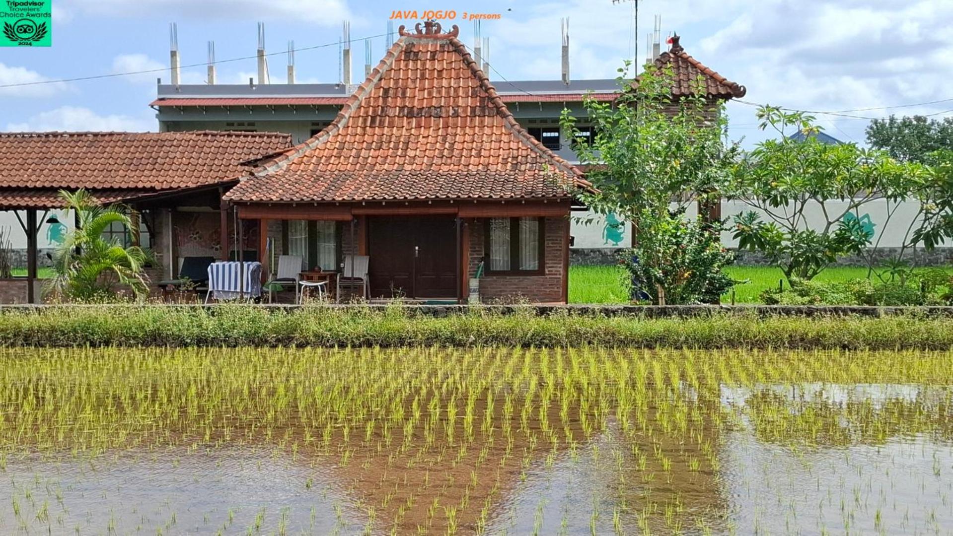 Alamanda Family Villas, Pool & Local Tours Yogyakarta Kültér fotó
