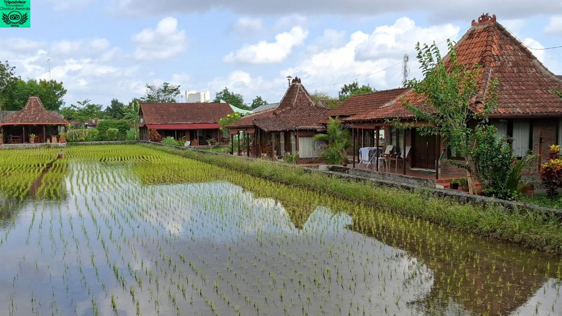 Alamanda Family Villas, Pool & Local Tours Yogyakarta Kültér fotó